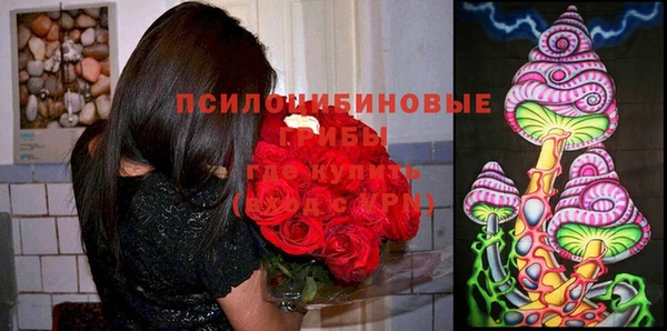 круглые Алзамай