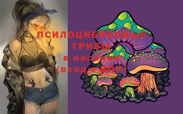 круглые Алзамай