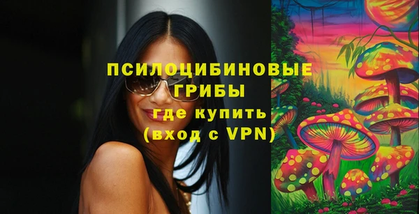 кокс Алексин
