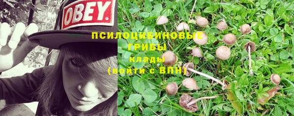 кокс Алексин