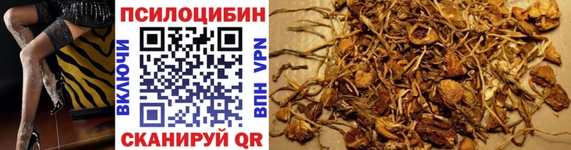 наркота  blacksprut рабочий сайт  Псилоцибиновые грибы Magic Shrooms  Билибино 